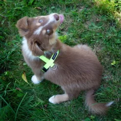 FinNero SALO valjaat, M, neonkeltainen