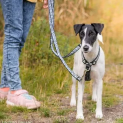 FinNero SALO valjaat, S, musta