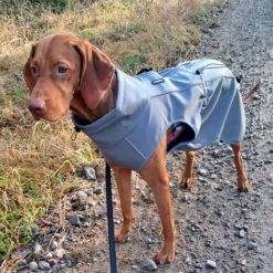 FinNero Softshelltäcke Sport Grey 65 cm