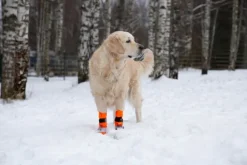 FinNero SULO tossut, XS-S, 2kpl, oranssi