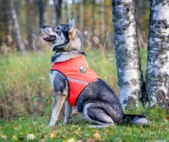 FinNero UKKO huomioliivi, XS, punainen/keltainen