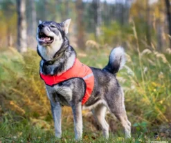 FinNero UKKO huomioliivi, XS, punainen/keltainen