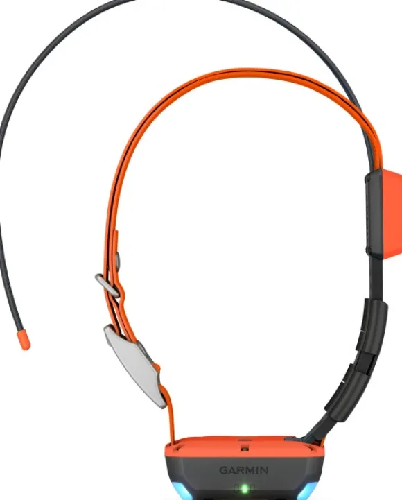 Garmin Alpha T20 koirapanta