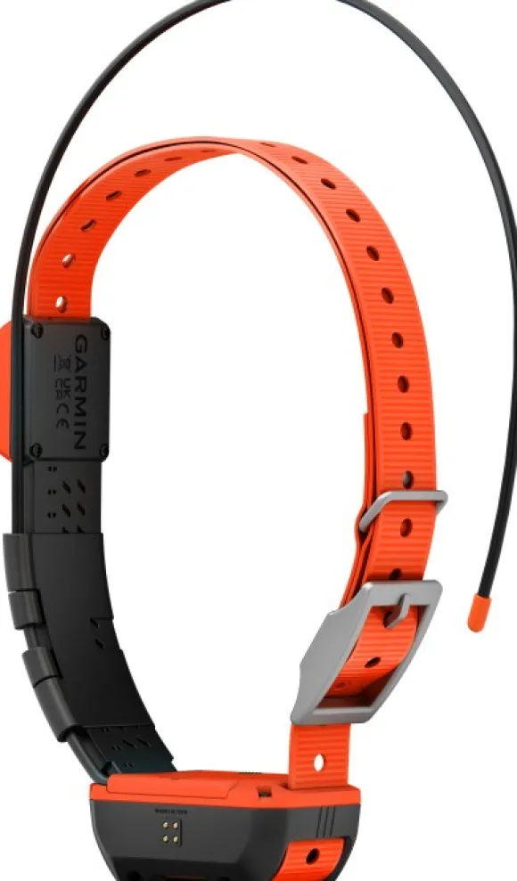 Garmin Alpha T20 koirapanta