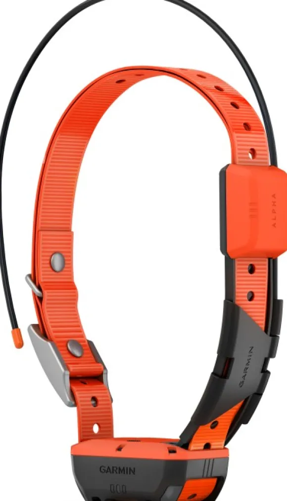 Garmin Alpha T20 koirapanta