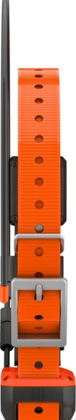 Garmin Alpha T20 koirapanta