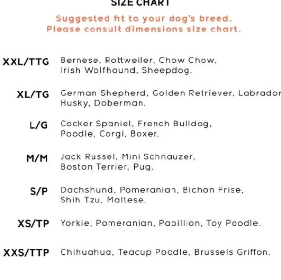 Goo-eez Trendz Snow Camo, koiran tossut, XL 2 kpl