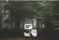 GP Discovery C32 Lupus taskulamppu, 300 lm