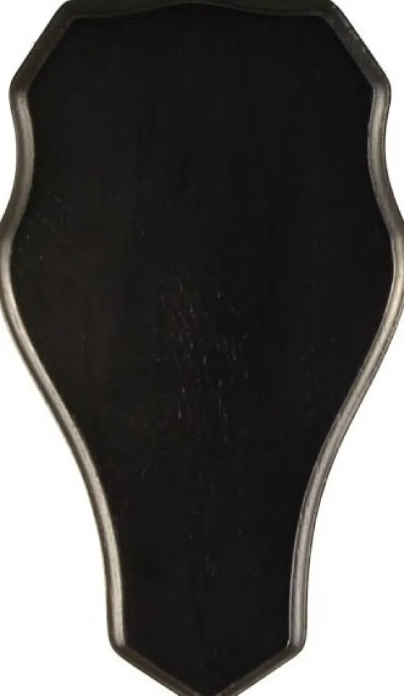 Grey Oak -peuratrofeen taustalevy, 33 x 19 cm, tumma tammi