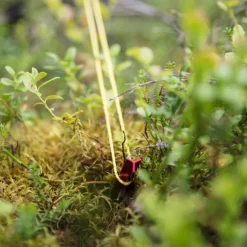 Helsport Pegs 19 cm 10 pcs -telttakiilat