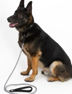 Hundra köysitalutin, harmaa