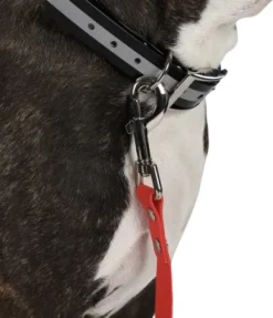 Hundra Training Leash Narrow jälkiliina