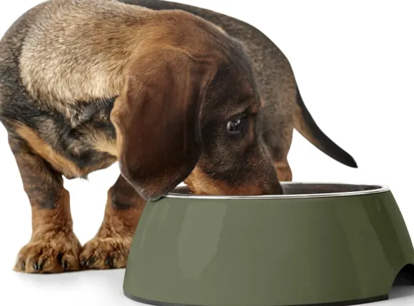 HUNTER Bowl Melamin koirankuppi, 350 ml, Khaki