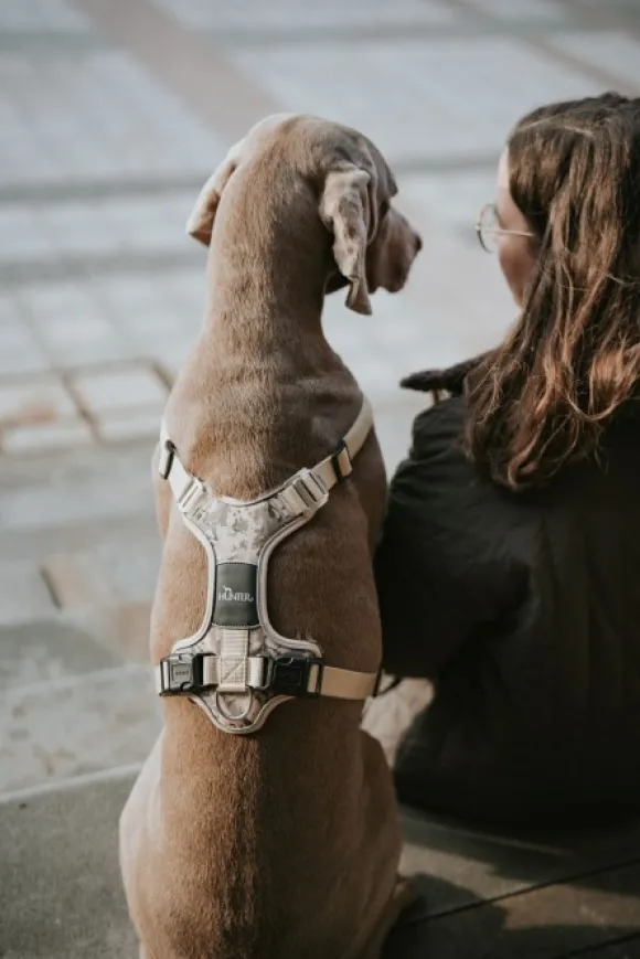 HUNTER Harness Divo valjaat, M-L, Camouflage Beige