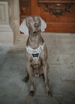 HUNTER Harness Divo valjaat, 79-107/L-XL, Camouflage Beige