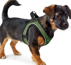 HUNTER Harness Hilo Comfort valjaat, XXS-XS, Dark Green
