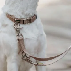 HUNTER Inari Collar Alu-Strong koiran kaulapanta, 40-55 cm, Tan