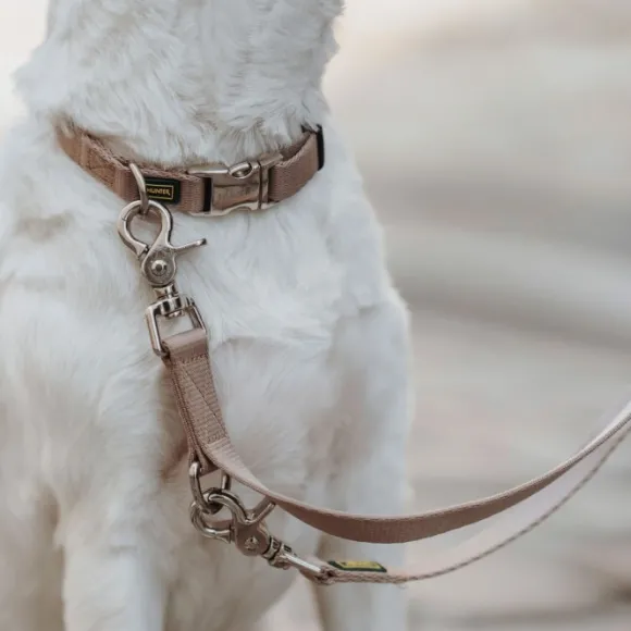 HUNTER Inari Collar Alu-Strong koiran kaulapanta, 40-55 cm, Tan