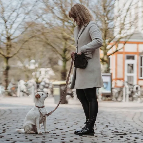 HUNTER Inari Collar Alu-Strong koiran kaulapanta, 40-55 cm, Tan