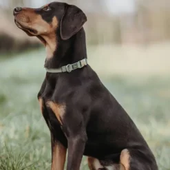 HUNTER Inari Collar Alu-Strong koiran kaulapanta, 45 - 65 cm, Linden Green