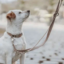 HUNTER Inari T-Leash koiran talutushihna, 20/200 cm, Tan