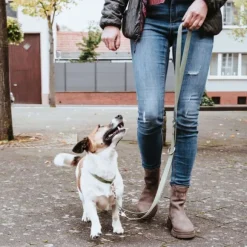 HUNTER Inari T-Leash koiran talutushihna, 20/200 cm, Linden Green