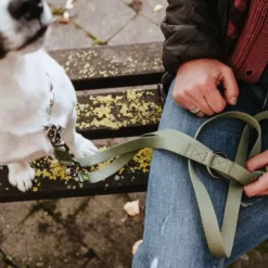 HUNTER Inari T-Leash koiran talutushihna, 20/200 cm, Linden Green