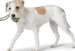 HUNTER Inari Toy Dog Ball koiran heittolelu, M, Linden Green