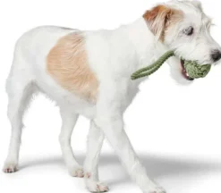 HUNTER Inari Toy Dog Ball koiran heittolelu, M, Linden Green