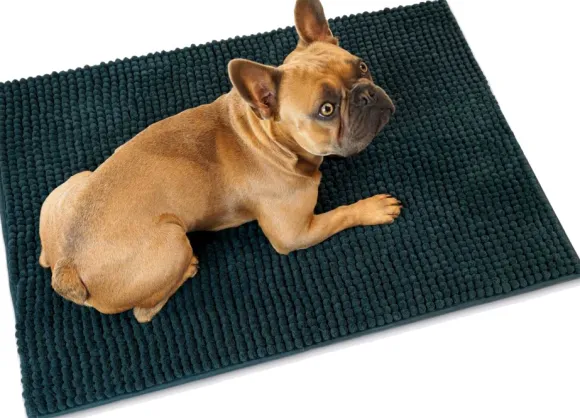 HUNTER koiran kuramatto, tummanharmaa, M