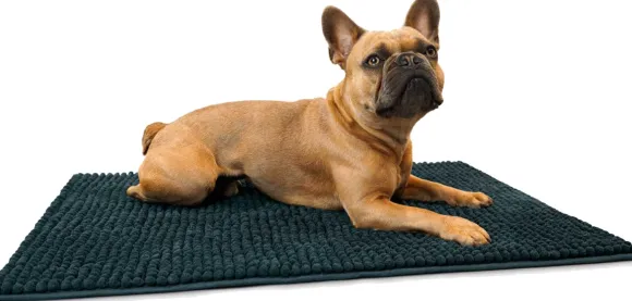 HUNTER koiran kuramatto, tummanharmaa, M