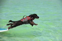 HUNTER Moss Pelastusliivi