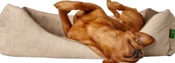 HUNTER Sofa Orthopedic Seattle koiranpeti, 60x40cm, Beige
