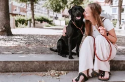 HUNTER T-Collar R&S Canadian UP puolikuristava kaulapanta, S-M, Cognac