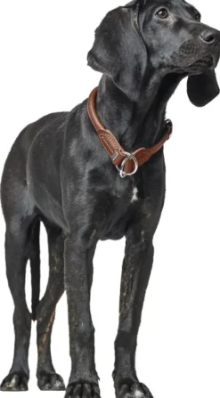 HUNTER T-Collar R&S Canadian UP puolikuristava kaulapanta, M-L, Black