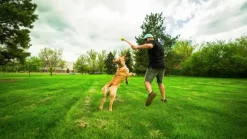 HUNTER Toy Dog Flingerz Ball Thrower heittovarsi lelulla