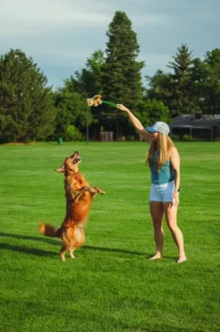 HUNTER Toy Dog Flingerz heittovarsi ja lelu, Furry Squirrel