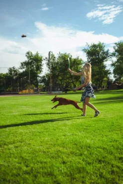 HUNTER Toy Dog Flingerz heittovarsi ja lelu, Furry Duck