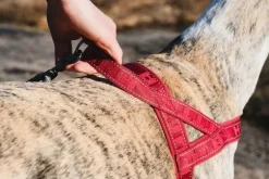 Hurtta Casual Harness ECO valjaat, 50 - 80 cm, ruskeaoranssi