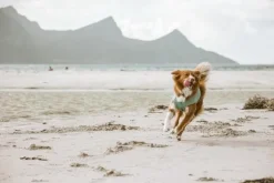 Hurtta Cooling Wrap koiran viilennysliivit, 65–75 cm, vaaleansininen