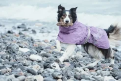 Hurtta Drizzle koiran sadetakki, korppi 20-35 cm