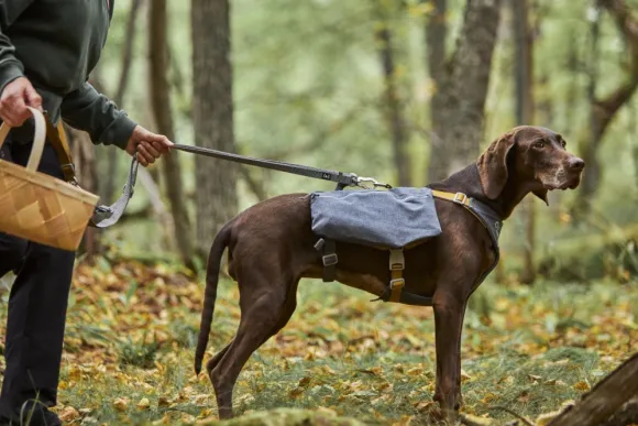 Hurtta Expedition Pack ECO koiran reppu, 60-80cm, Blackberry