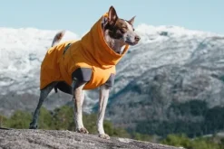 Hurtta Expedition parka, 45 cm, oranssi