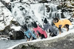 Hurtta Expedition Parka koirantakki, 35cm XL, Bilberry