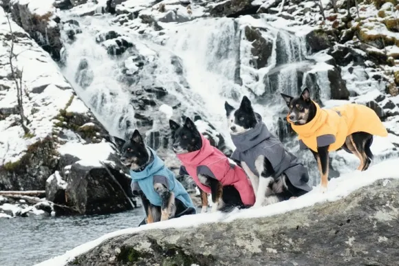 Hurtta Expedition Parka koirantakki, 40cm XS, Bilberry