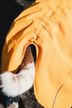 Hurtta Expedition XS parka, 45 cm, oranssi