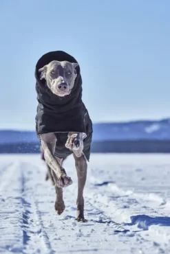 Hurtta Extreme Warmer III ECO koiran talvitakki, 55-65 cm, Raven