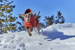 Hurtta Extreme Warmer III ECO koiran talvitakki, 25-35 cm, Cinnamon