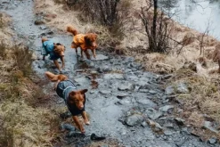 Hurtta Monsoon Coat Blackberry 90 cm