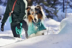 Hurtta Monsoon Coat II ECO koirantakki, 60-70 cm, Peacock